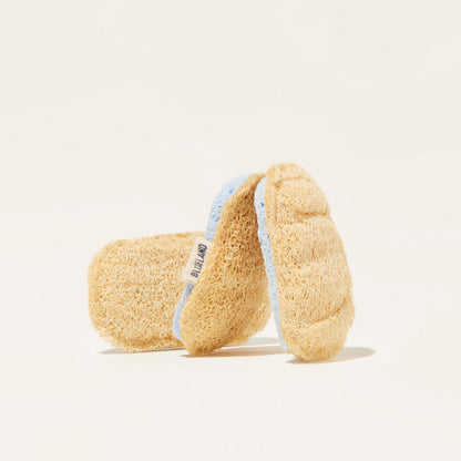 SCRUB SPONGE,PLNT BSD,6PK
