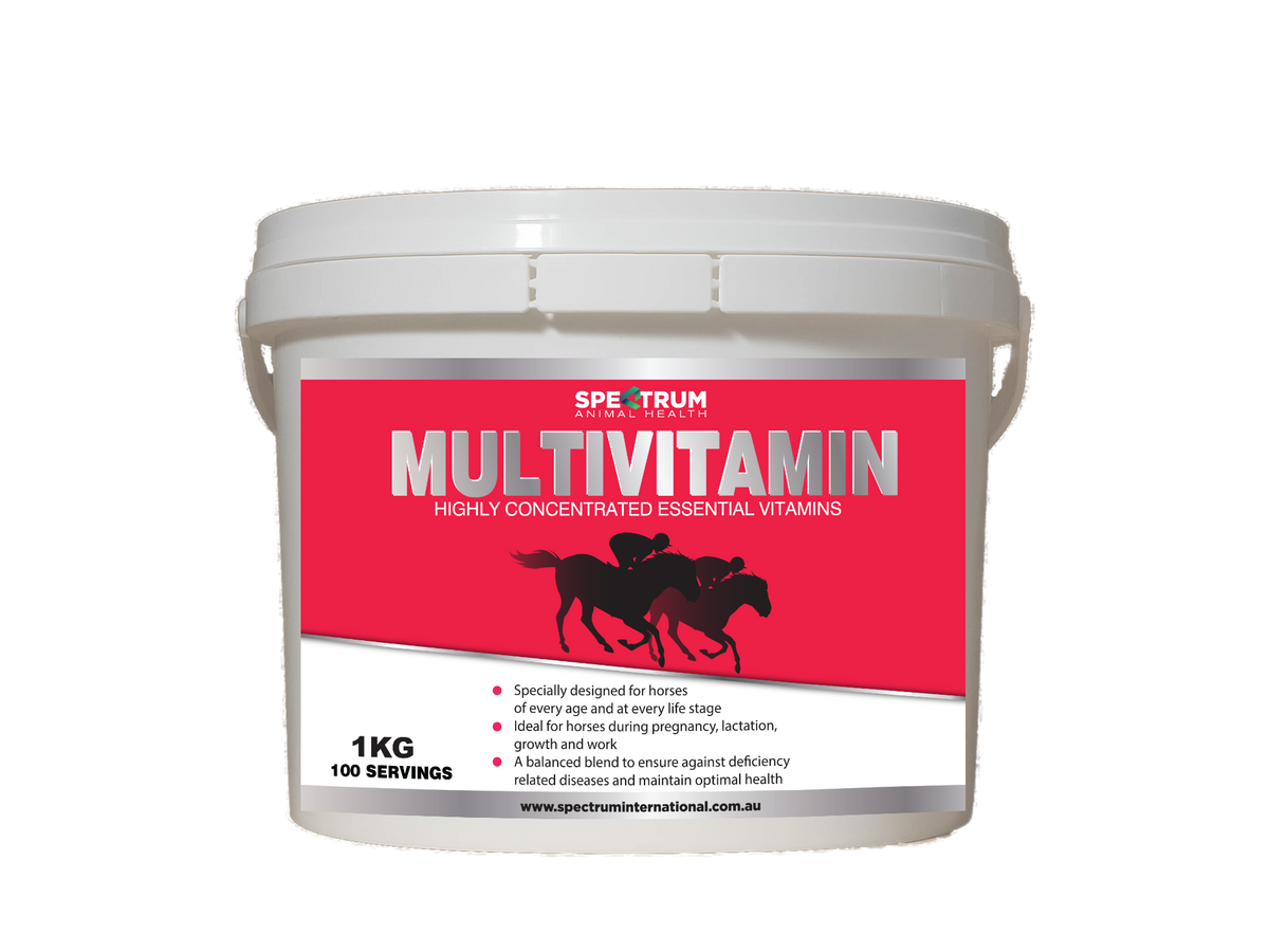 POWDER,VITASPECTRUM