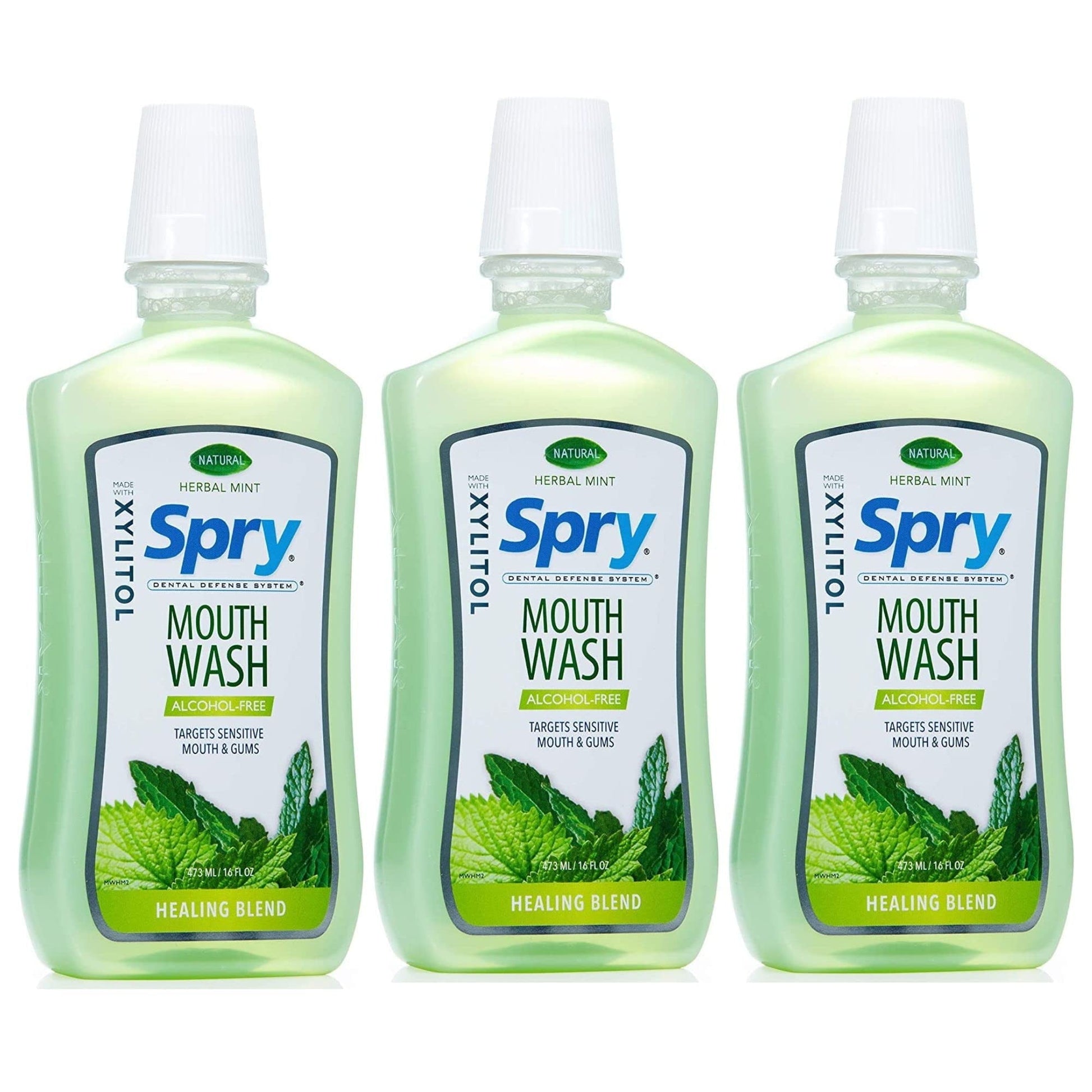 D&L GO INTENSE SPRY MINT     2Z