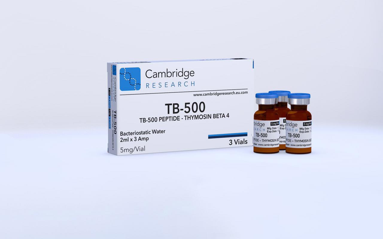 PAIN RELIEF TB 500MG 100