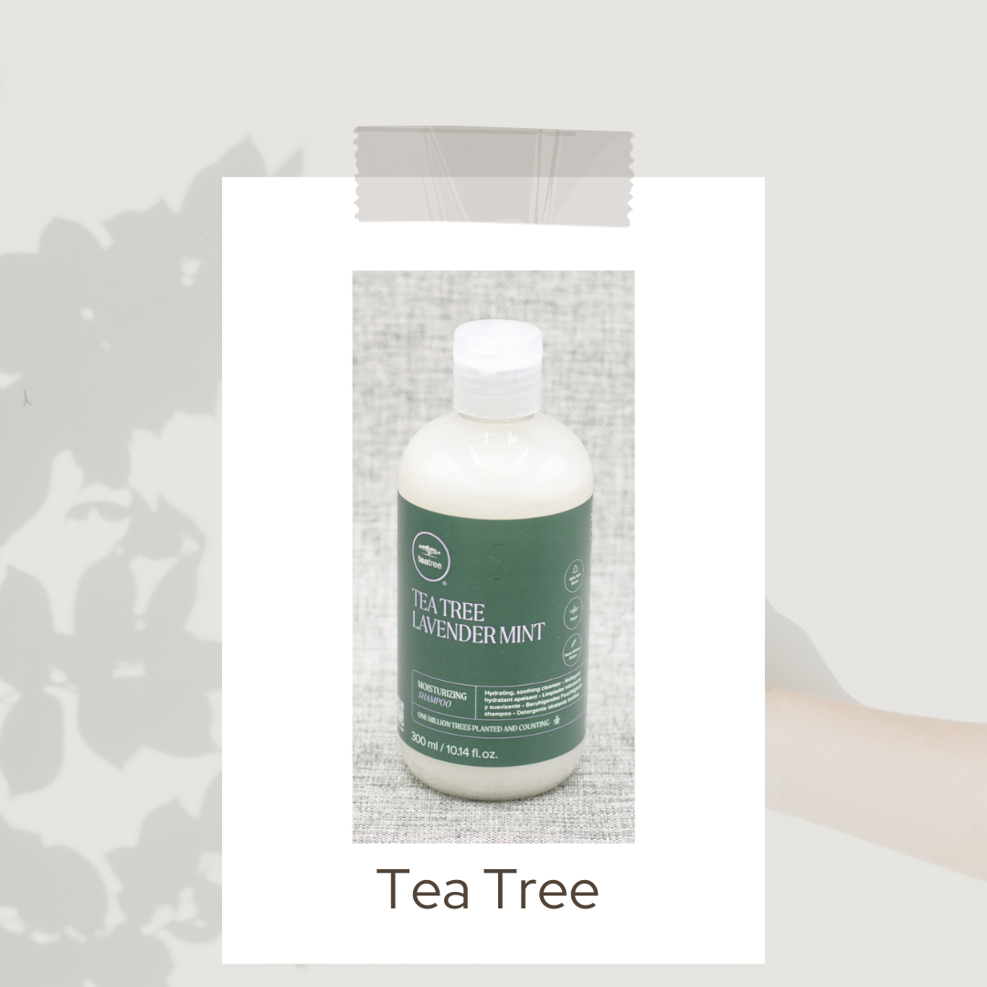 TEA TREE ULT SOAKING CRYSTALS 170GM DS