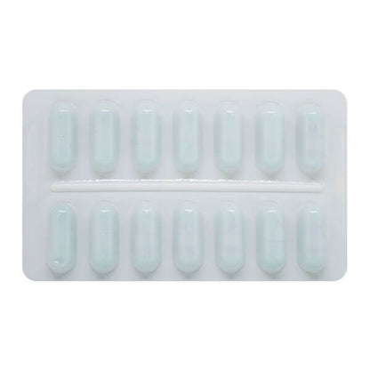 DIMETHYL FUM CP 240MG 60 DR
