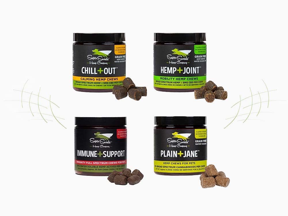SUPER SNOUTS PET SUPP,GI BALANCE