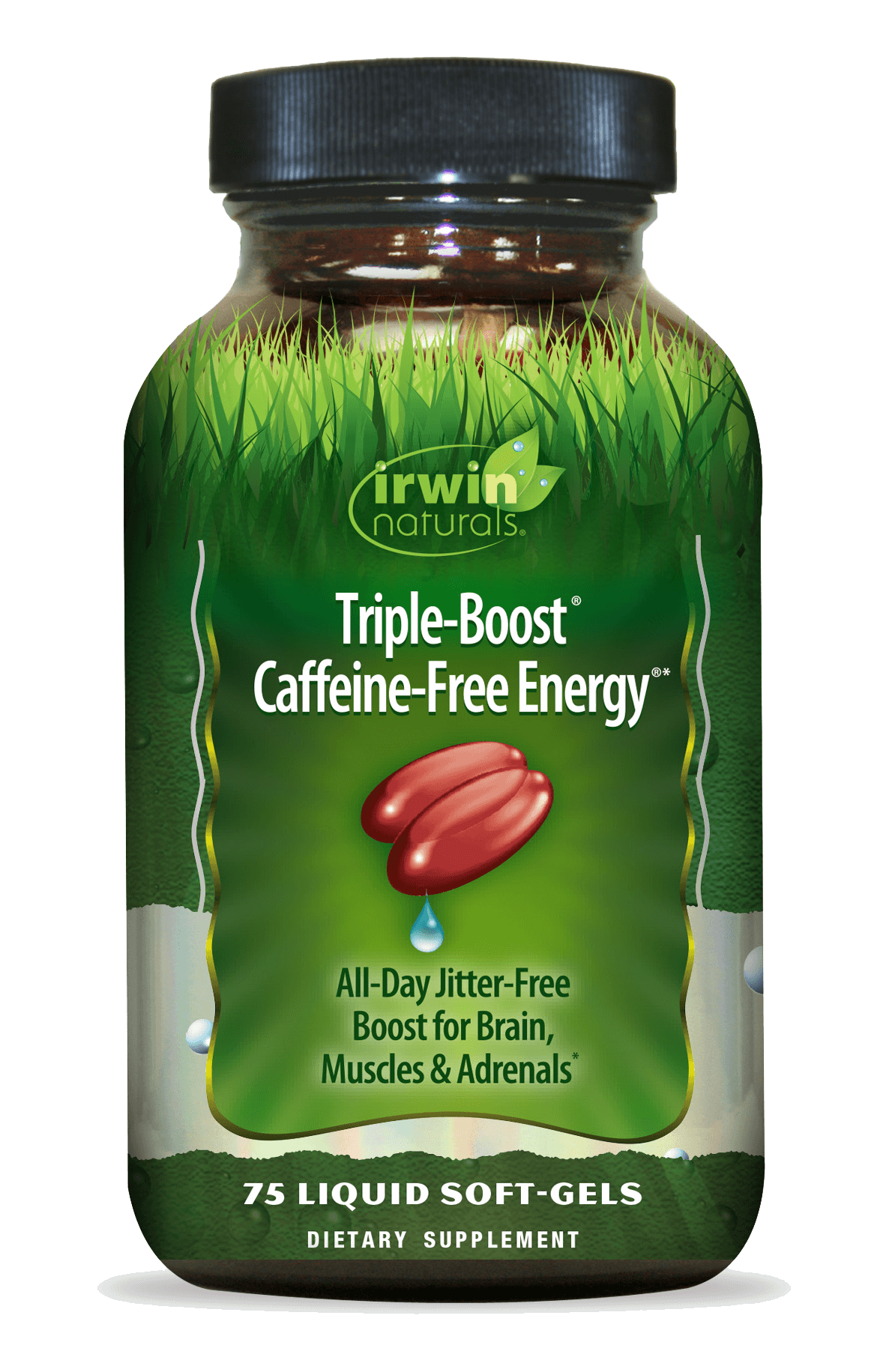 IRWIN NATURALS TRPL-BOOST,CAFF FR ENERGY
