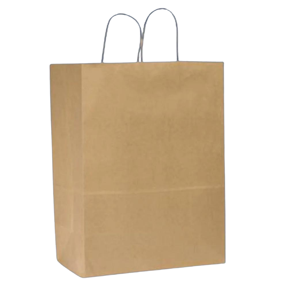 RCYCL LG 10X7X12 UNPRNT W/HNDL BAG 250