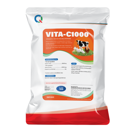 NT VITA C/BIOFL/RH TB 1000MG 100