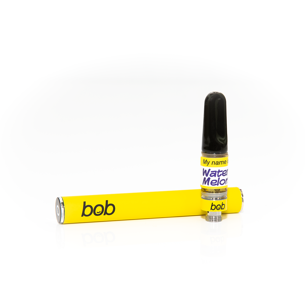 CONC & PERF BRIGHT PEN MELON