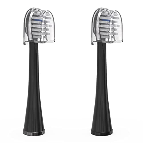 WATERPIK WTRFLS/SNTB EQ BLACK