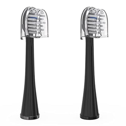WATERPIK WTRFLS/SNTB EQ BLACK