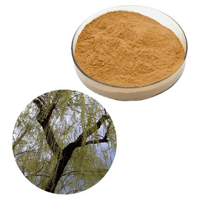 WHITE WILLOW BARK EXTRACT