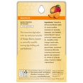 Burt's Bees Moisturizing Lip Balm - Mango