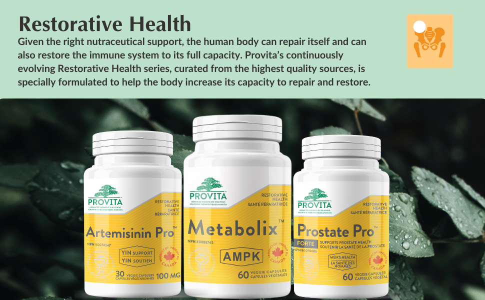 PROVITA METABOLIX AMPK
