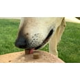 PETNC CALMING FORMULA SOFT CHEWS 120CT