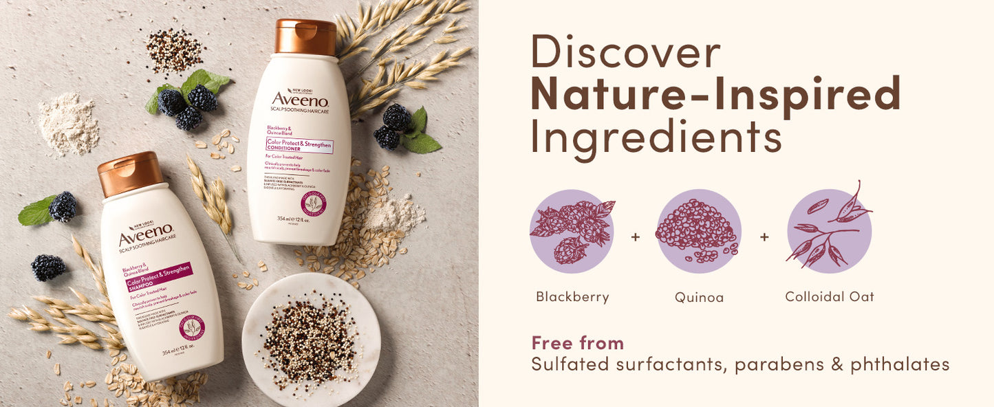 AVEENO BLKBERRY/QUINOA COND 12Z