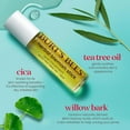 Burt's Bees Clear & Balanced Herbal Blemish Stick