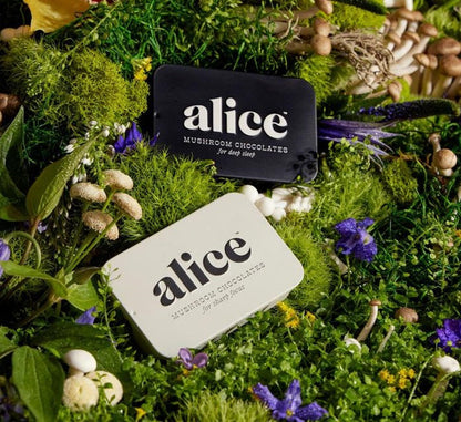 ALICE CHOC,NIGHTCAP