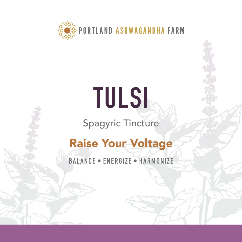 TULSI,OG2,ASHWAGANDHA