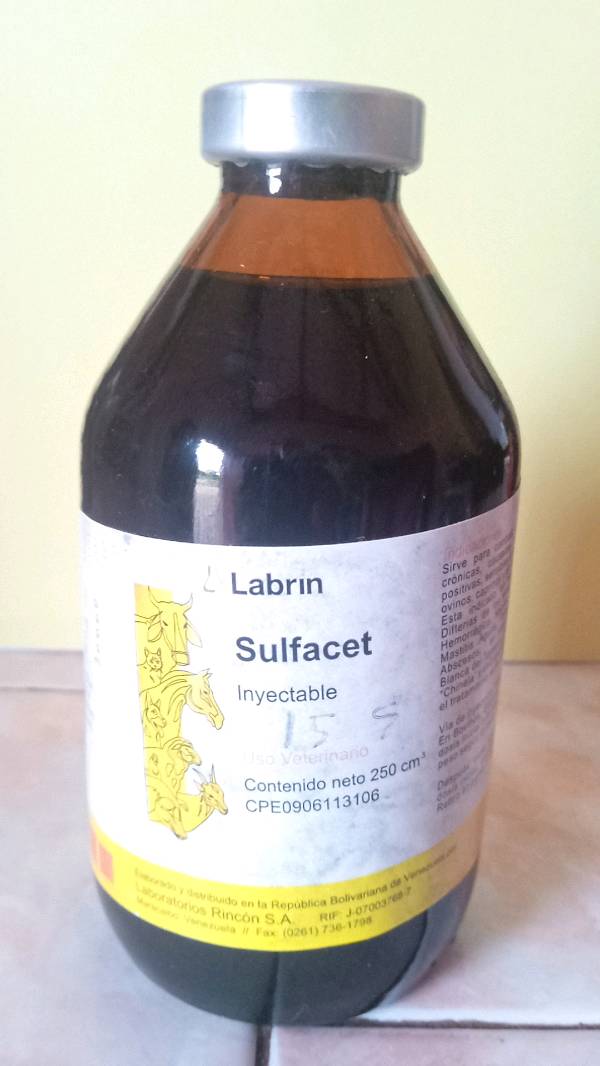 SULFACET/PRED DR 10-0.23% 5ML
