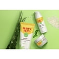 Burt's Bees Sensitive Solutions Gentle Cream Cleanser, 6 oz
