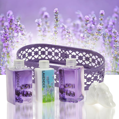 DOL BODYWASH LQ 12X12OZ LAVENDER