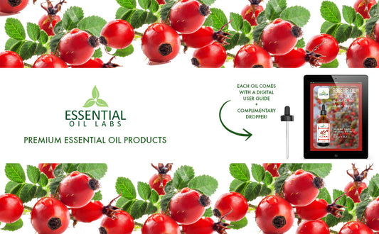 ESSENTIAL OIL,OG1,ROSEHIP