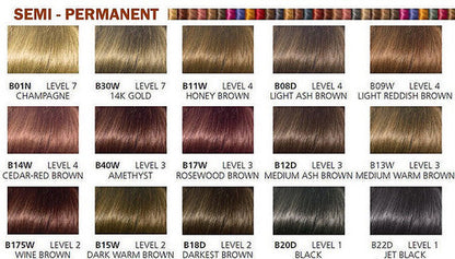 Clairol Beautiful Coll. #B13W Medium Warm Brown 3oz