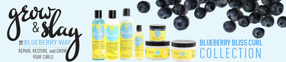 CURLS BLUEBERRY TRAVEL KIT 3.2Z