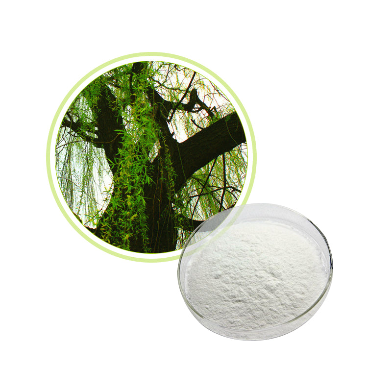 WHITE WILLOW BARK EXTRACT