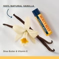 Burt's Bees Moisturizing Lip Balm - Vanilla Bean, 2 count