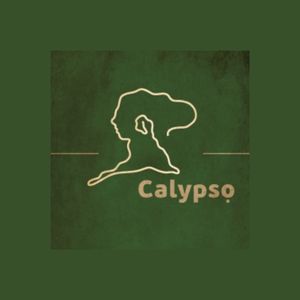 CALYPSO OLIVE OIL MOISTURE CAP