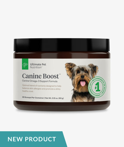 ADVANCED CR 3IN1 DOG SP 16OZ DSHP
