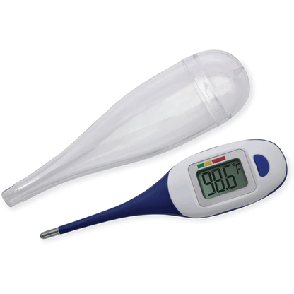THERMOMETER LARGE FACE FAST READ DS