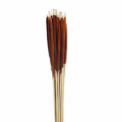 LAC 2PC PENCIL W/SHARP DK BRWN