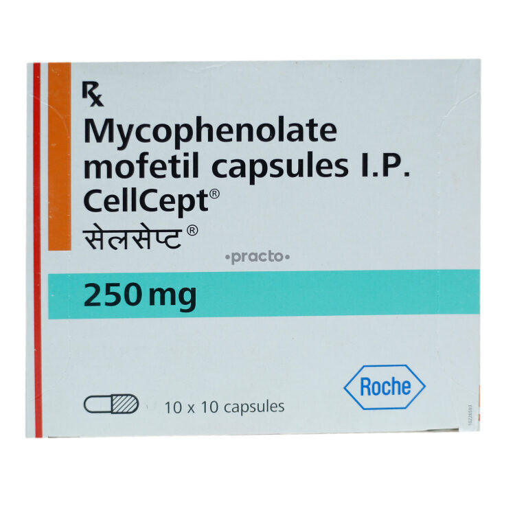CELLCEPT CP 250MG 100