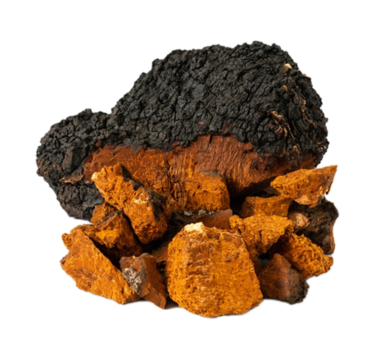 CHAGA MAX