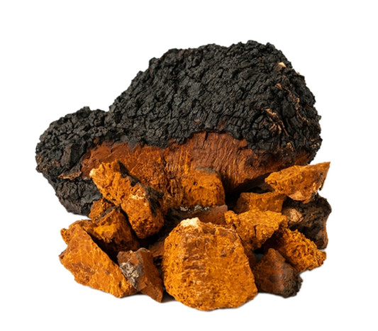 CHAGA MAX