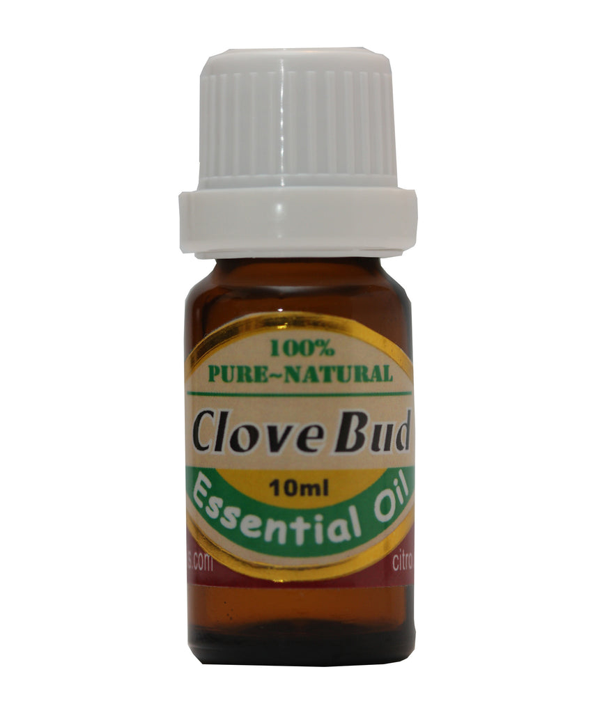 NORTH AMERICAN HERB & SPICE OIL OF CLOVE BUD