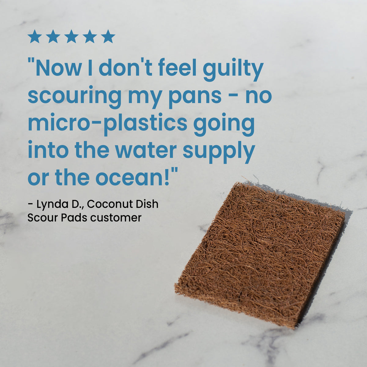 FULL CIRCLE COCONUT SCOUR PADS,3 PACK