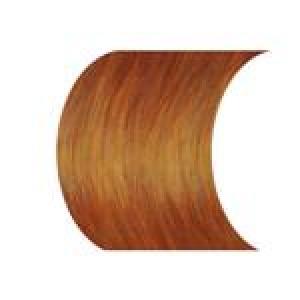 COLORA HENNA PWD BURGANDY   2OZ