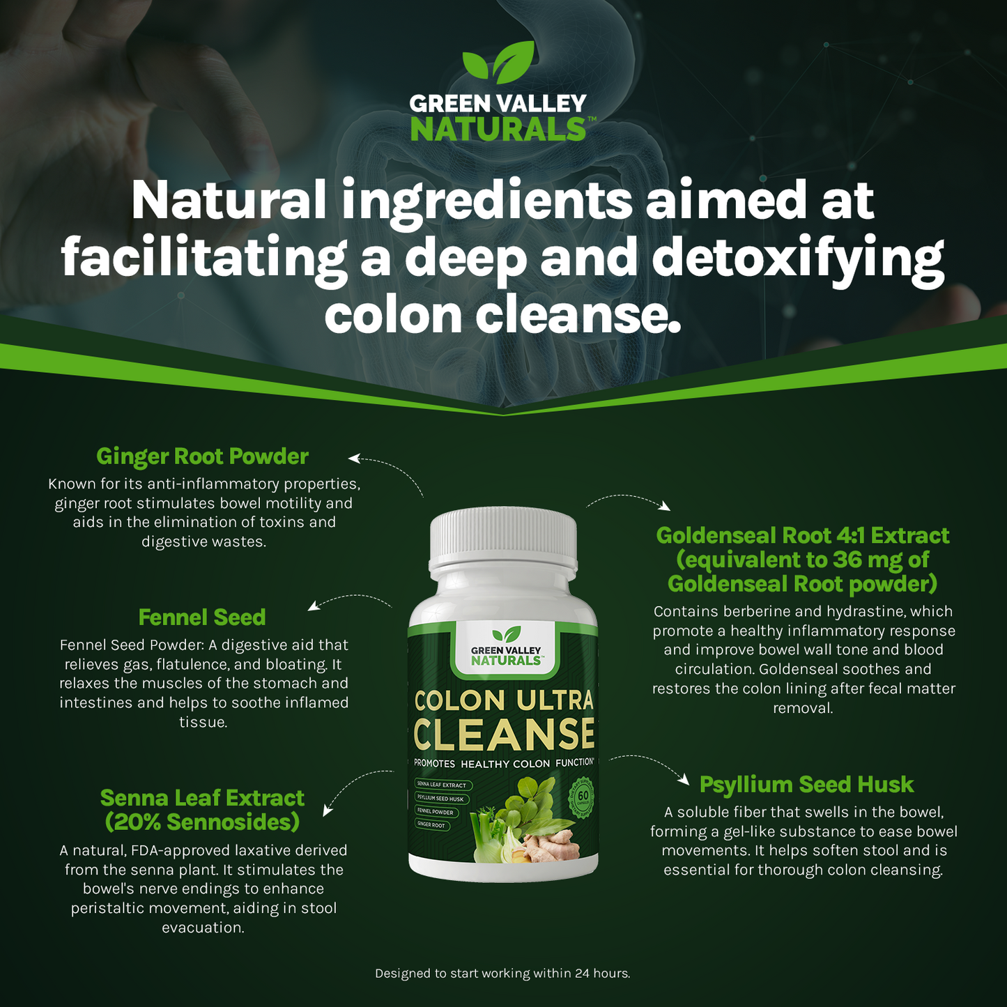 COLON CLEANSE PW 340GM ORG