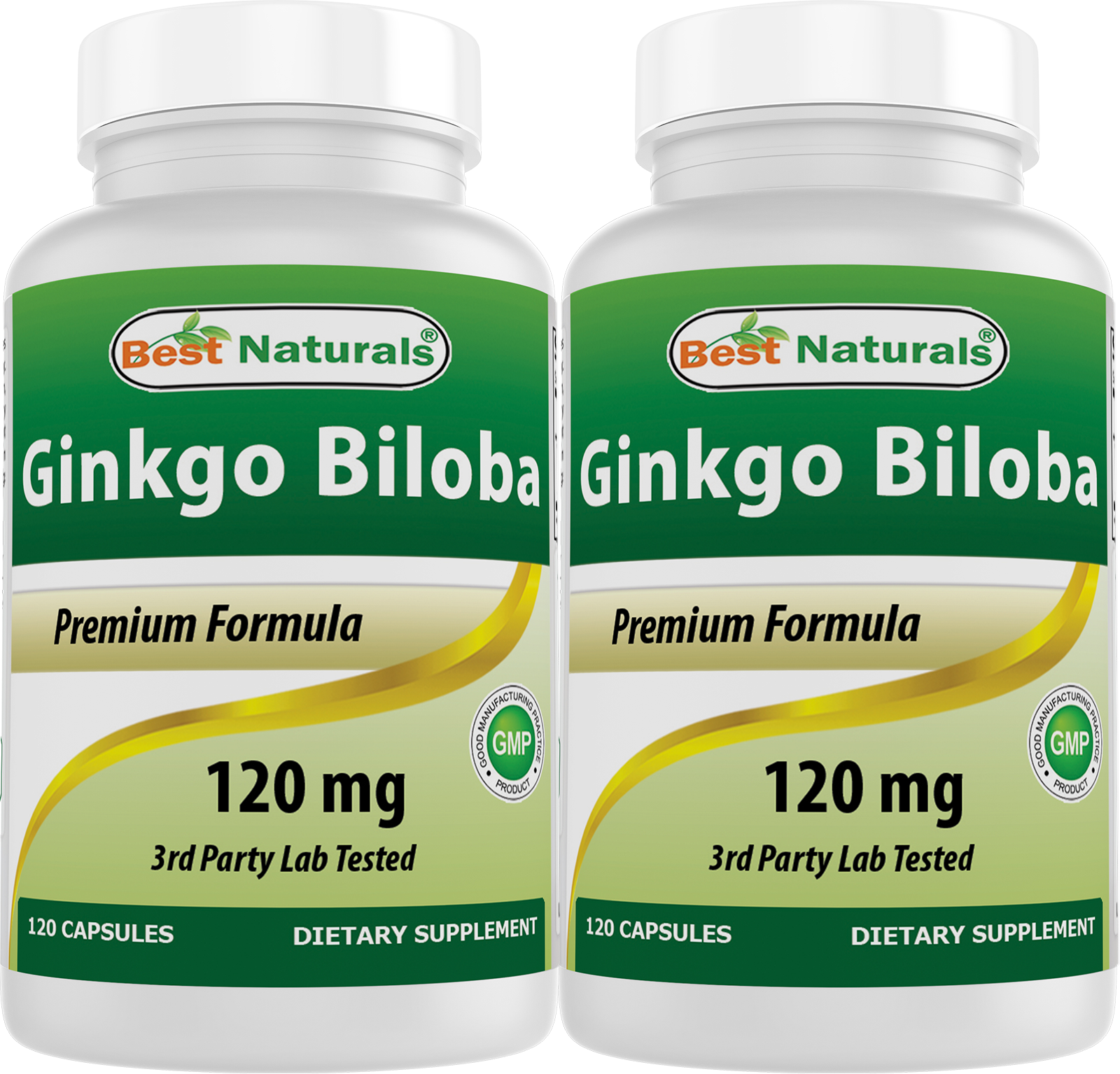 GINKGO BILOBA 120MG CAP 100CT NAT TRU