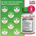 YUMVS ZERO DIABETIC MLTVTMN GMY 60 GERI