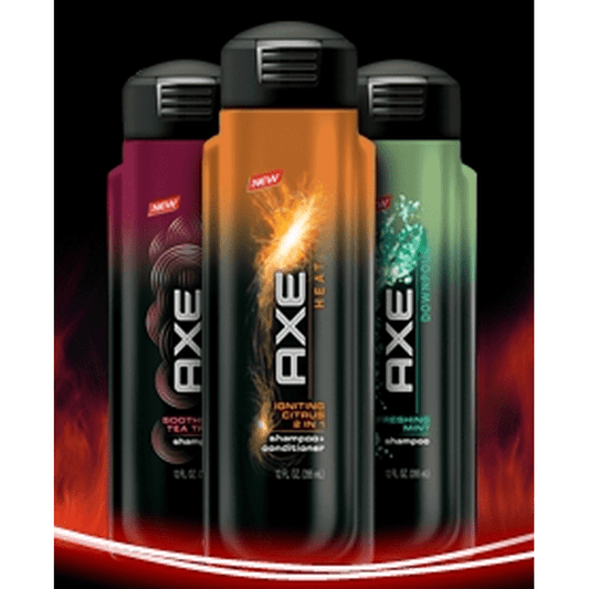 AXE SHOWER GEL 16OZ ANARCHY