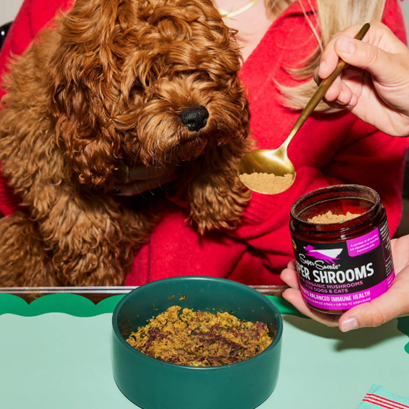 SUPER SNOUTS PET SUPPS,SUPER SHROOMS