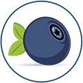 K.H. BILBERRY 25%
