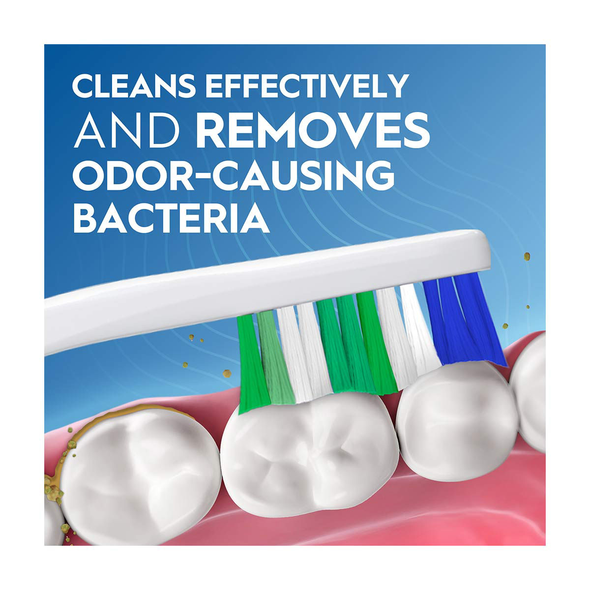 Oral-B Toothbrush Essential Clean Fresh Soft 6 Count