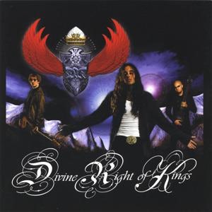 COVER YOUR GRAY DRK BRWN.53z