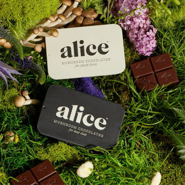 ALICE CHOC,BRAINSTORM