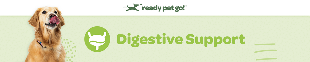 READY PET GO! DOG SUPP,GOOD GUT PROBIO