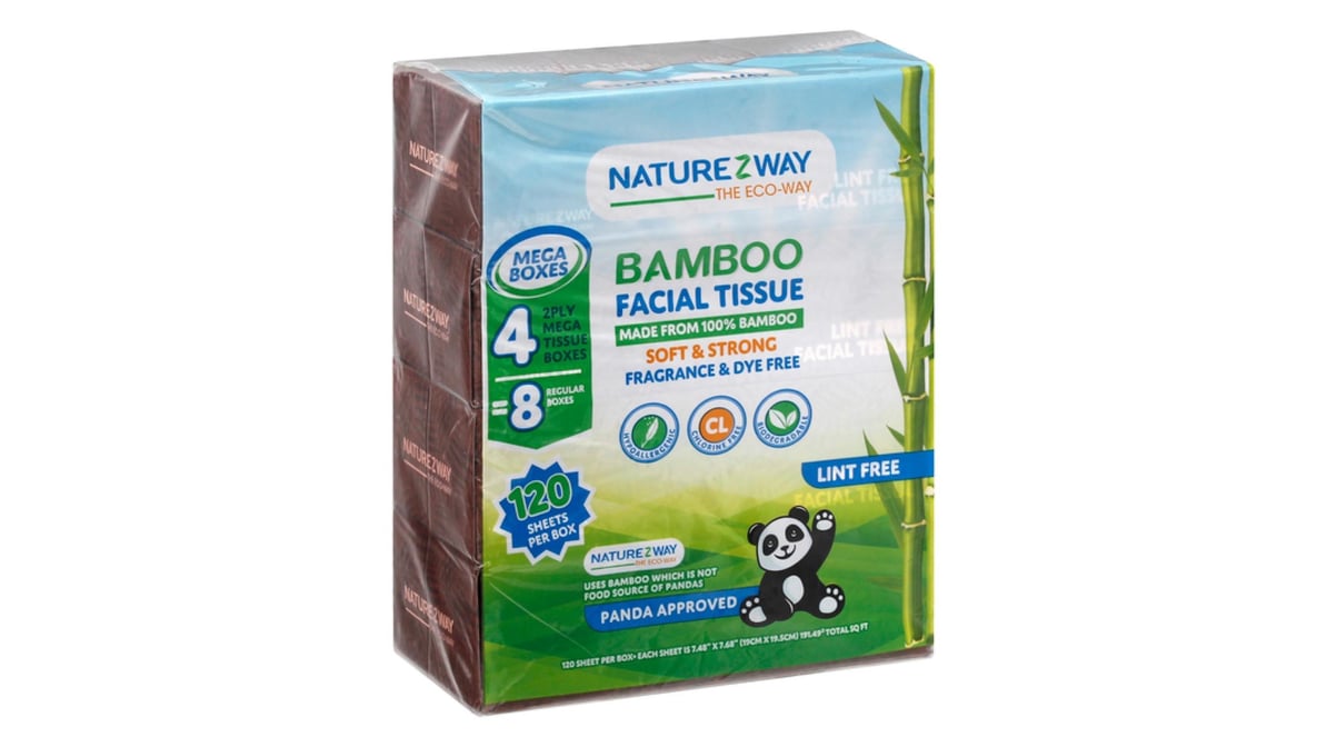 NATUREZWAY DISPBL SPOON,BAMBOO 24 CT